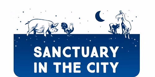 Sanctuary in the City - NYC
