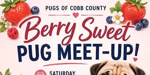May BERRY SWEET Pug Meet Up