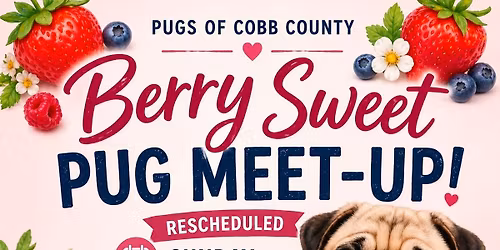 May BERRY SWEET Pug Meet Up
