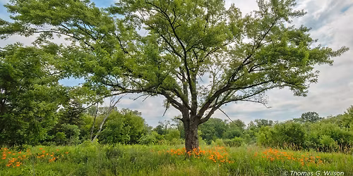 Hike Through History: Raven Glen