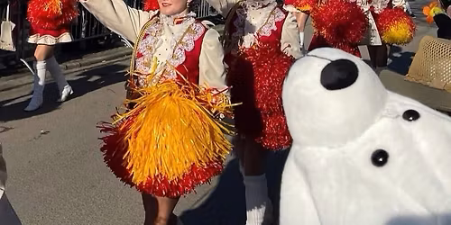 Hattersheimer Fassenachtsumzug 2026