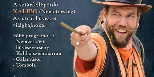 VI. ORSZ\u00c1GOS \u00c9S NEMZETK\u00d6ZI B\u0170V\u00c9SZTAL\u00c1LKOZ\u00d3 A Moln\u00e1r B\u0171v\u00e9sziskola k\u00f6zrem\u0171k\u00f6d\u00e9s\u00e9vel