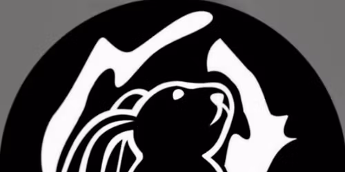 NEWPORT & DISTRICT  POOL LEAGUE SUMMER 2025 KINGS PRESENTATION 