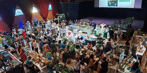 Holiday Plant Market