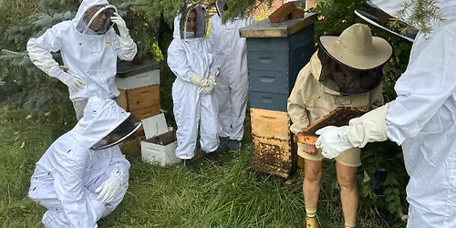 Intro to Beekeeping Workshop
