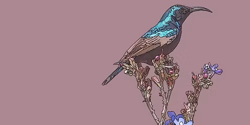 Concert: Kalle Wid\u00e9n