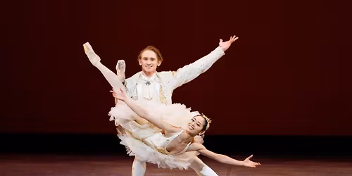 National Ballet of Canada: Mad Hot Ballet