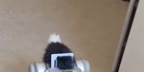 Robotics Meetup and Show & Tell
