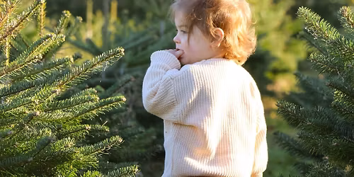 Christmas Tree Photoshoot - Booking Essential