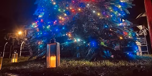 Waddington Christmas Tree Switch-On & Carol Sing-Along