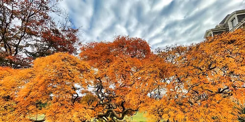 Nature Writing Series: Creative Writing Nature Walk