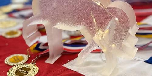 Hestsport Special 22 november 2025\ud83d\udcab