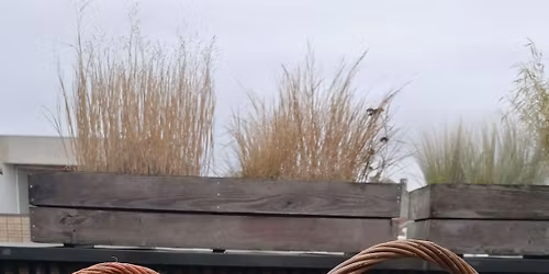 Atelier vannerie : panier \u00e0 oeufs - COMPLET