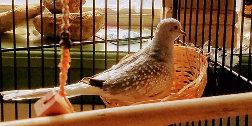 Book reading and signing with Author Erin C. Frigo