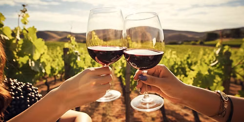 NEW WORLD WINES - FOUR WEEK EVENING SESSIONS