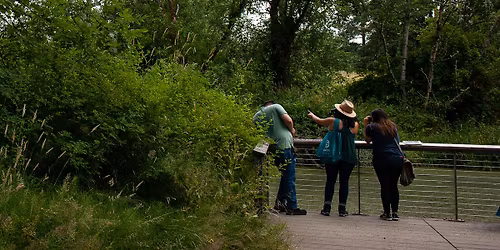 Forest bathing walk at Blue Lake