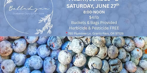Bella Lynn U-Pick Blueberries 2026 GRAND OPENING WEEKEND