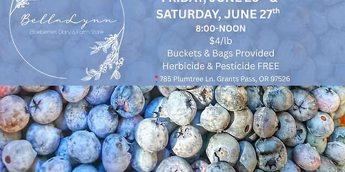 Bella Lynn U-Pick Blueberries 2026 GRAND OPENING WEEKEND