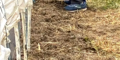 Learn to Grow Series: Build a High Tunnel