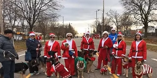 Christmas Walk thru Frankenmuth