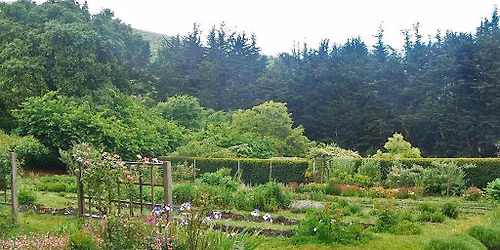 Fall Daylong Yoga & Meditation Retreat at Green Gulch Farm & Zen Center