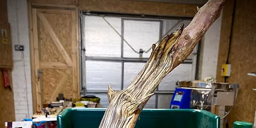 Carving workshop