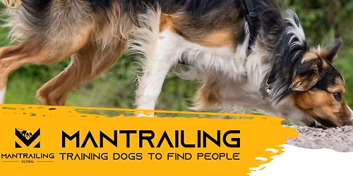 Mantrailing Intro Course