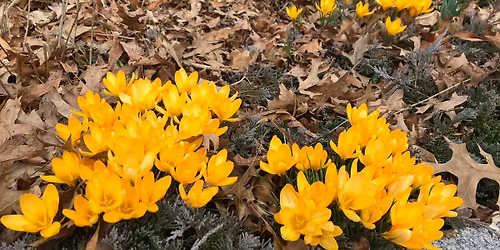 Spring Demystify Death Nature Walk