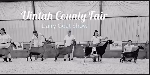 Uintah County Dairy Goat Show