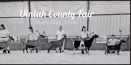 Uintah County Dairy Goat Show