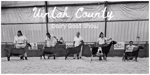 Uintah County Dairy Goat Show