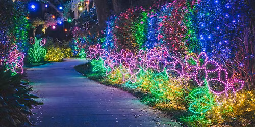 Magic Christmas in Lights Workshop
