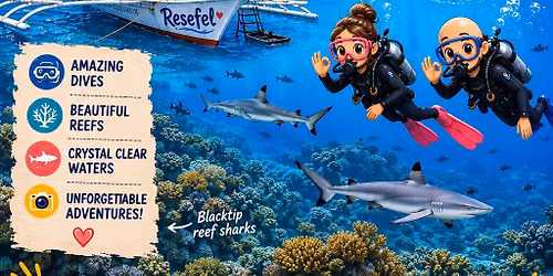 Dive Sumilon! July 24