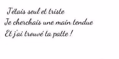 \ud83d\udc36 Rencontre avec notre refuge \ud83d\udc3e\ud83d\udc3e