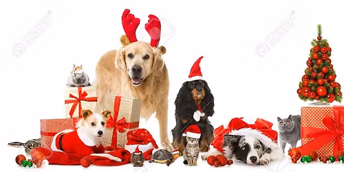 Midsomer Xmas Markets for Pets