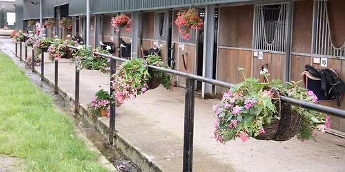 Quob Stables Unaffiliated Fun Summer Show (Ridden and In-Hand)