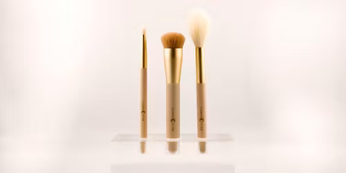 Brush Class
