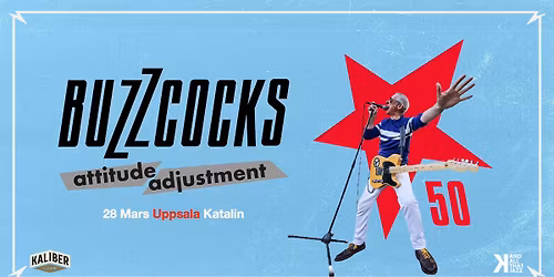 Buzzcocks | Katalin Uppsala
