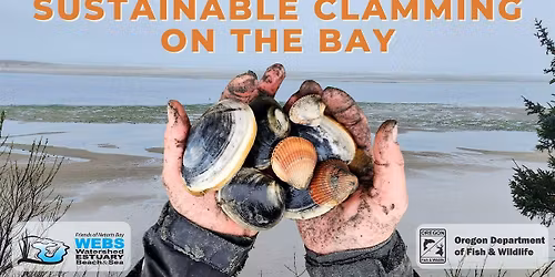 Sustainable Clamming on the Bay