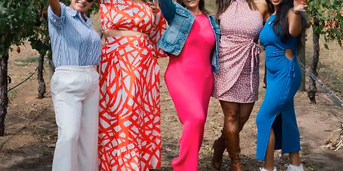 Friendher Christmas Wine tour - Make new Friends Perth