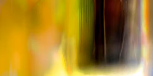 Live Ambient Sound Immersion with Erin Meares