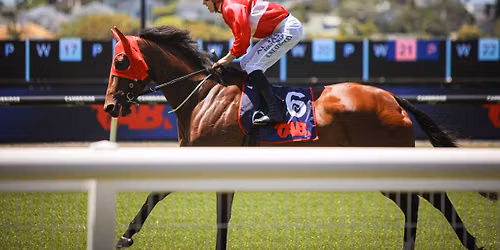 Cox Plate Raceday