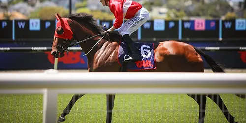 Cox Plate Raceday