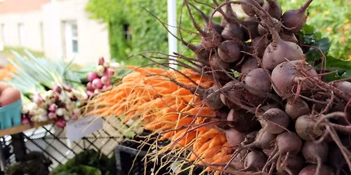 1st Farmers Market of the 2026 season!