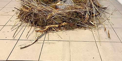 CORAZ WI\u0118CEJ \u017bYCIA BY\u0141O W MOJEJ SZTUCE. Rozmowa o trosce i praktyce artystycznej kobiet