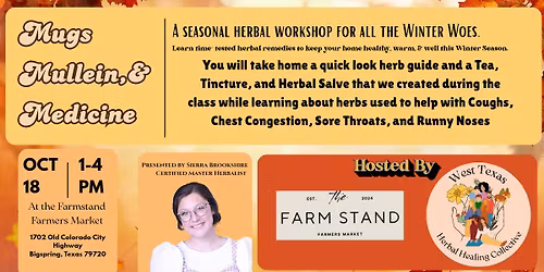 Mugs, Mullein, and Medicine: a seasonal herbal workshop