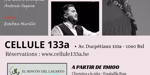 Los Conciertos " M\u00e1s Flamenco "