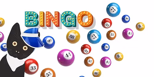 Feline Lucky Bingo!