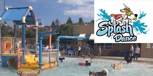 Splash Dance for Dogs 2026 \ud83d\udca6\ud83d\udc15