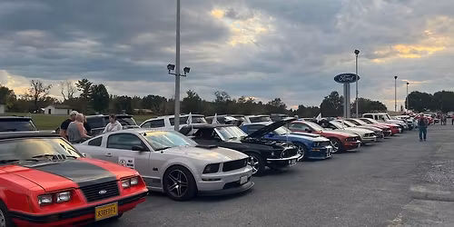 Annual All Ford Show
